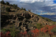 Side of Mountain With Many Trees With Red Leaves