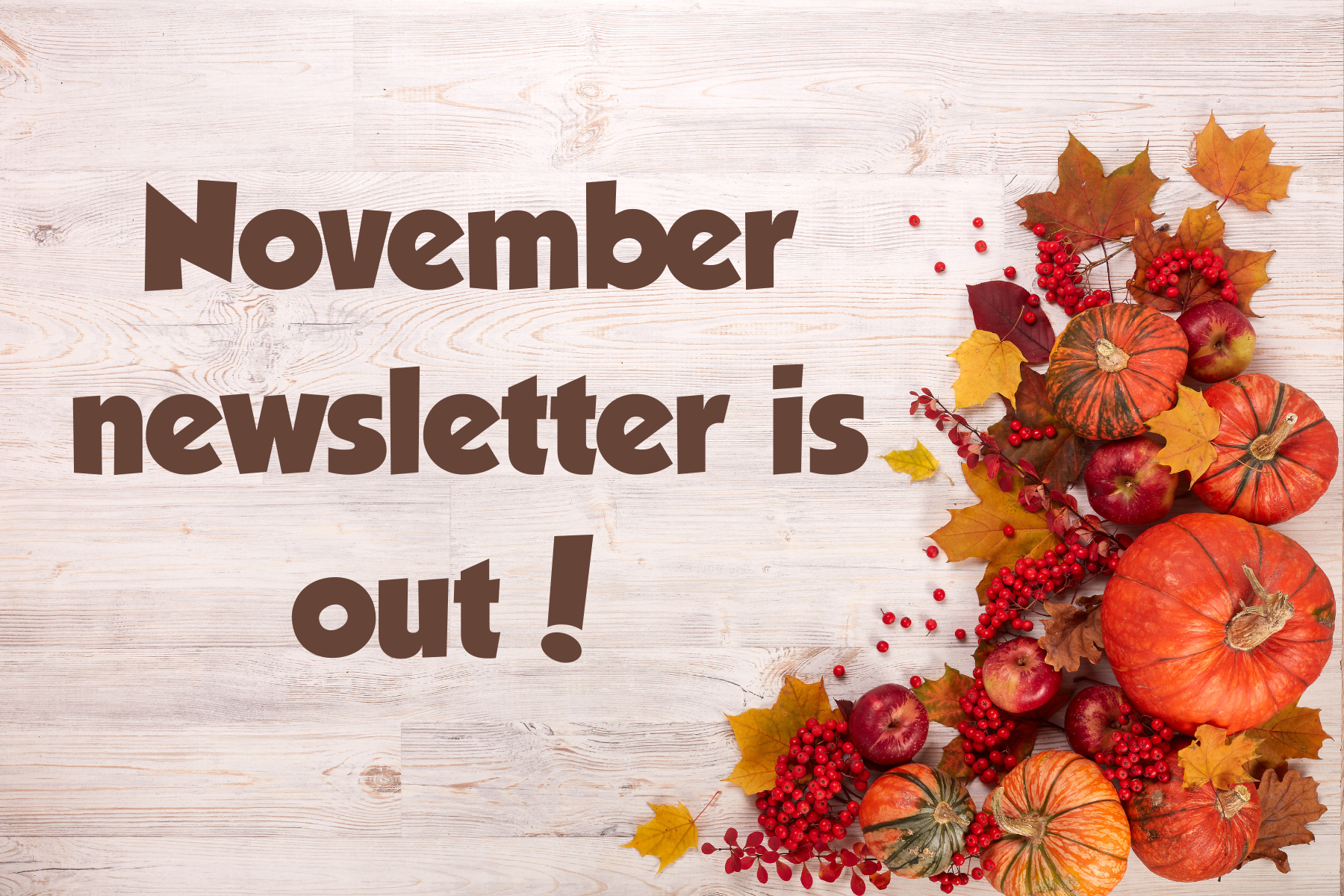 Copy of Sep -Oct Newsflash 