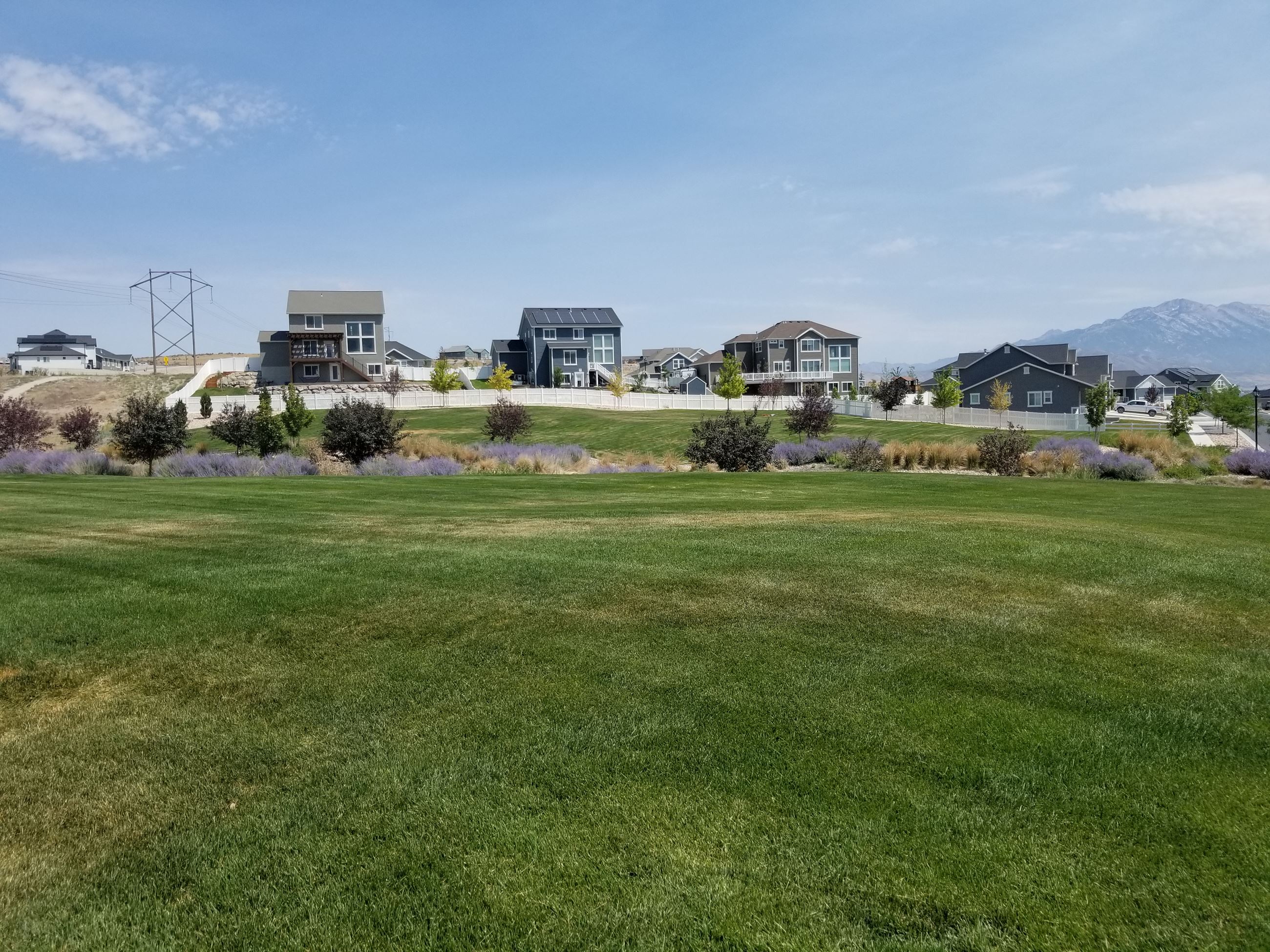 Meridian Park  Open Grass